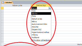 Datové typy a vlastnosti polí tabulek
