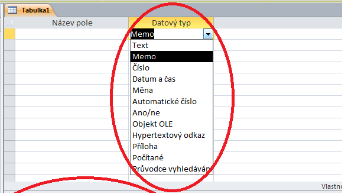 Datov typy a vlastnosti pol tabulek
